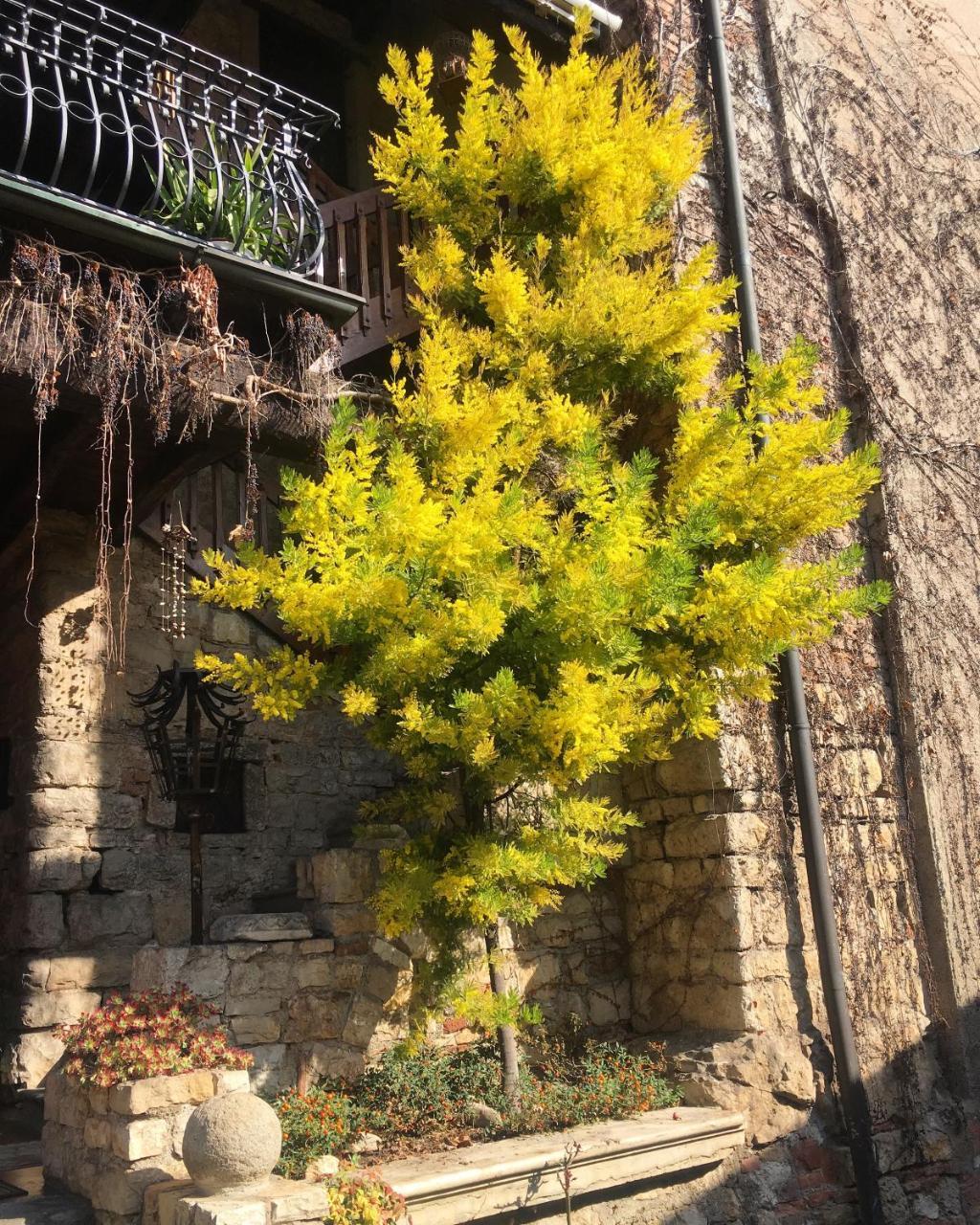 Bed and Breakfast Torre De Salis Gussago Екстер'єр фото